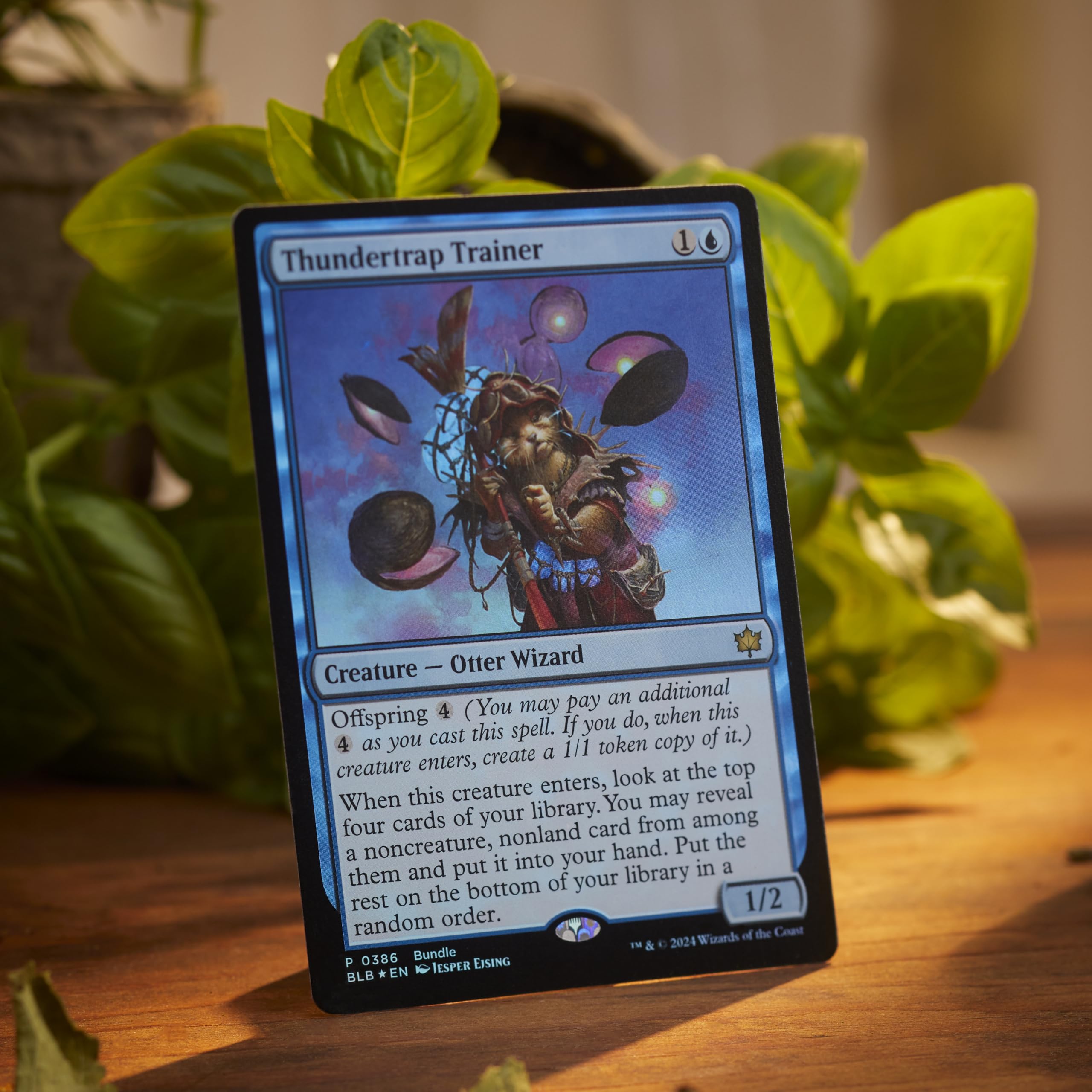 Magic: The Gathering Bloomburrow Bundle - 9 Play Boosters, 30 Land Cards + Exclusive Accessories - Image 5